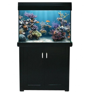 Picture of Living Reef 300 UPGRADED