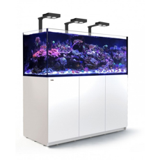 Picture of Red Sea Reefer XXL 625 V3 Deluxe White SPECIAL PRE ORDER PRICE