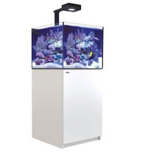 Picture of Red Sea Reefer XL 200 Deluxe White