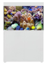 Picture of AquaOne Reef 300 S2 White