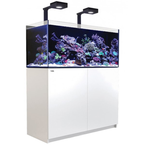 Picture of Red Sea Reefer XL 425 V3 DELUXE White 'IN STOCK'