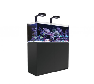 Picture of Red Sea Reefer 350 DELUXE V3 Black 'IN STOCK'