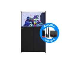 Picture of Red Sea Reefer Peninsula G3 500 Black *PRE ORDER*