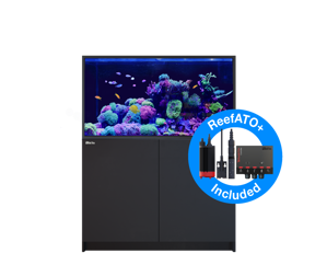 Picture of Red Sea Reefer  S-550  G2+  Black *PRE ORDER*