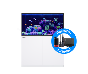 Picture of Red Sea Reefer  S-550  G3  White *PRE ORDER*