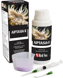 Picture of Aiptasia X. Red Sea 60ml *OUT OF STOCK*