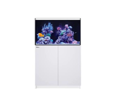Picture of Red Sea REEF-FRAME 250 White *PRE ORDER*