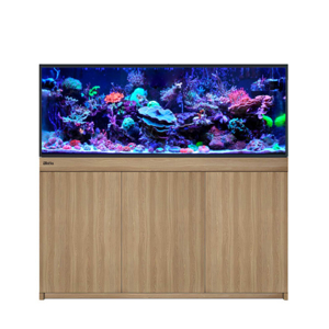 Picture of Red Sea REEF-FRAME 500 Oak *PRE ORDER*