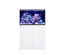 Picture of Red Sea Reefer  300  G3+  White *PRE ORDER*